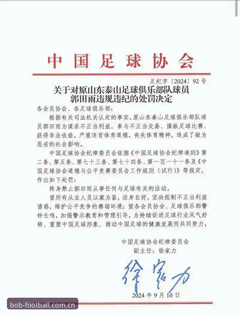 bob半岛平台体育入口 足协第三批禁足名单公布:盘点中国足球反腐的3个关键趋势与5条重要警示